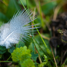 Et puis d'autres collections ...